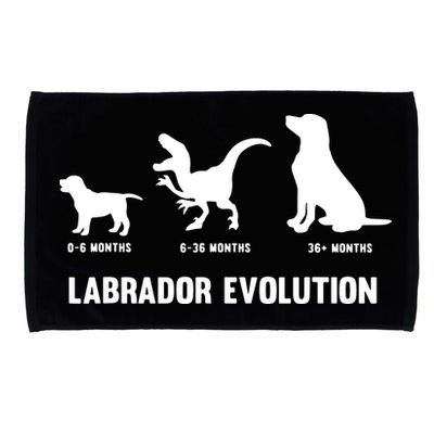 Labrador Retriever Evolution Design For A Labrador Owner Microfiber Hand Towel