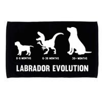 Labrador Retriever Evolution Design For A Labrador Owner Microfiber Hand Towel