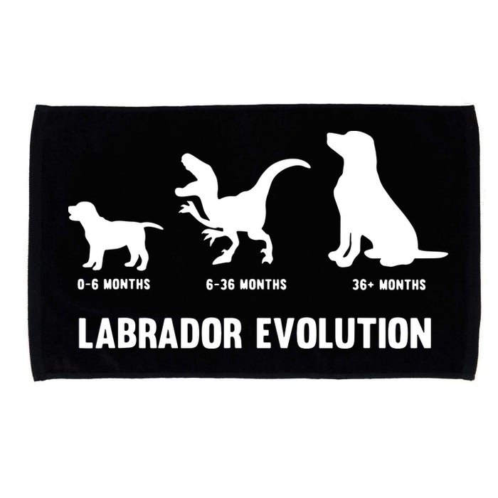 Labrador Retriever Evolution Design For A Labrador Owner Microfiber Hand Towel
