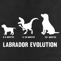 Labrador Retriever Evolution Design For A Labrador Owner Microfiber Hand Towel