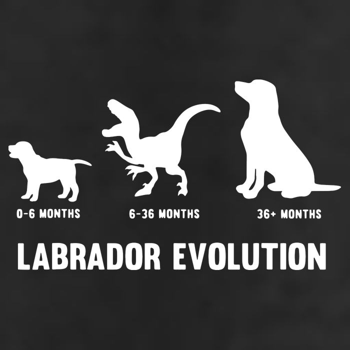Labrador Retriever Evolution Design For A Labrador Owner Microfiber Hand Towel