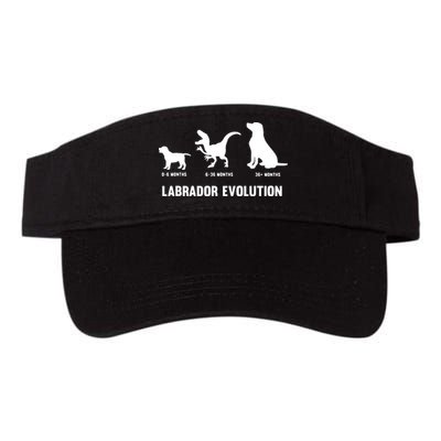 Labrador Retriever Evolution Design For A Labrador Owner Visor