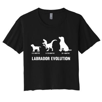 Labrador Retriever Evolution Design For A Labrador Owner Crop Top