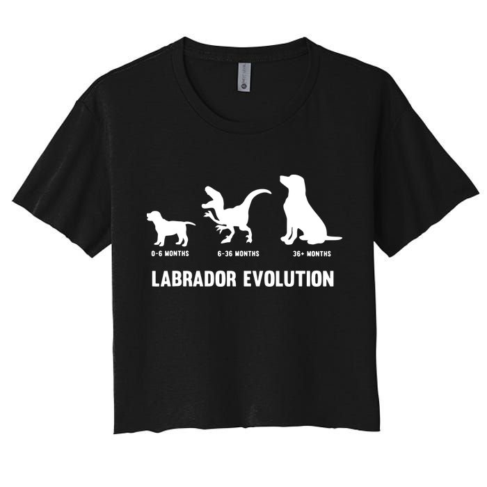 Labrador Retriever Evolution Design For A Labrador Owner Crop Top