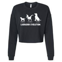 Labrador Retriever Evolution Design For A Labrador Owner Cropped Pullover Crew