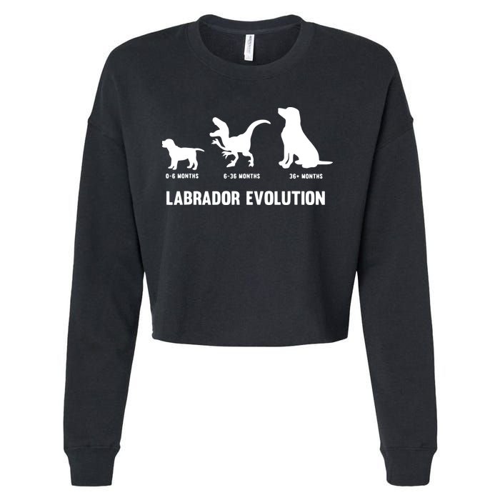 Labrador Retriever Evolution Design For A Labrador Owner Cropped Pullover Crew