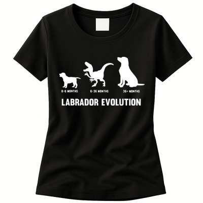 Labrador Retriever Evolution Design For A Labrador Owner Womens T-Shirt