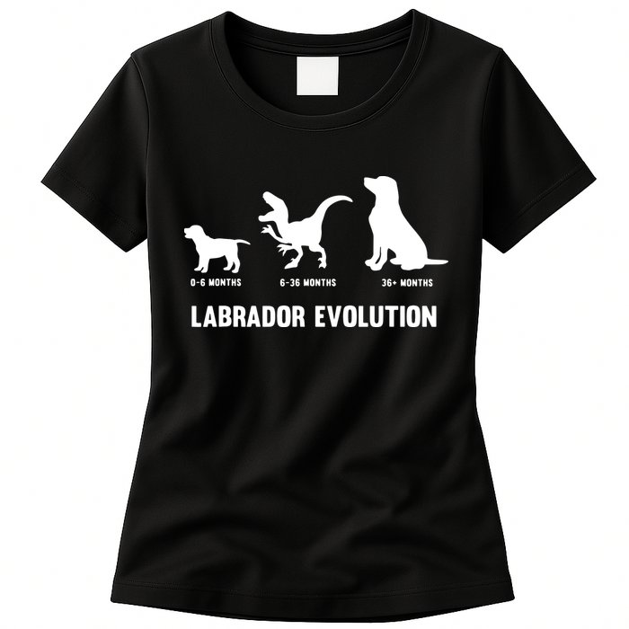 Labrador Retriever Evolution Design For A Labrador Owner Womens T-Shirt