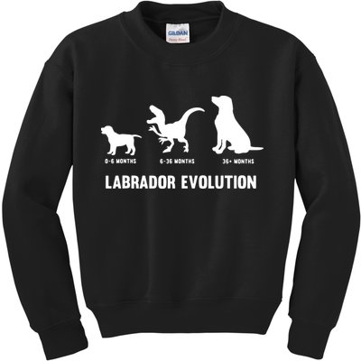 Labrador Retriever Evolution Design For A Labrador Owner Kids Sweatshirt
