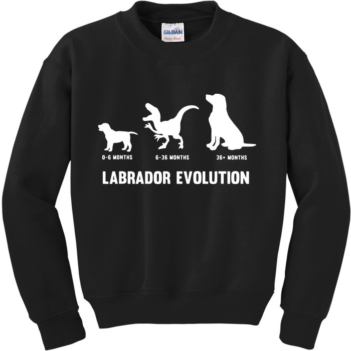 Labrador Retriever Evolution Design For A Labrador Owner Kids Sweatshirt