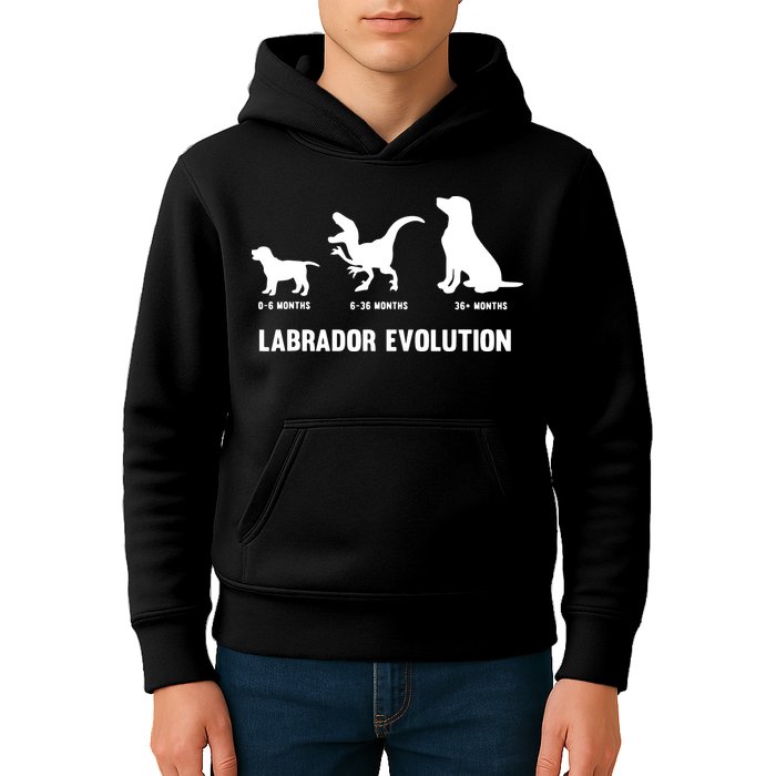Labrador Retriever Evolution Design For A Labrador Owner Kids Hoodie