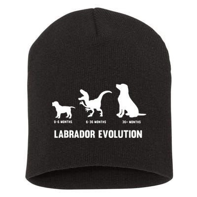 Labrador Retriever Evolution Design For A Labrador Owner Short Acrylic Beanie