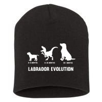 Labrador Retriever Evolution Design For A Labrador Owner Short Acrylic Beanie