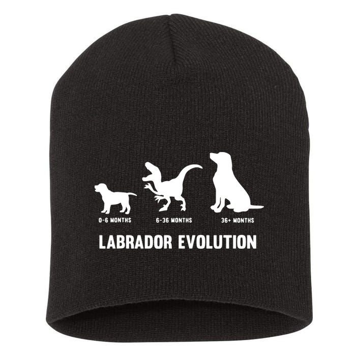 Labrador Retriever Evolution Design For A Labrador Owner Short Acrylic Beanie