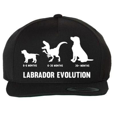 Labrador Retriever Evolution Design For A Labrador Owner Wool Snapback Cap