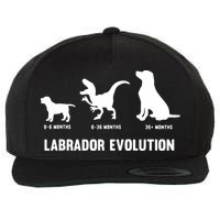 Labrador Retriever Evolution Design For A Labrador Owner Wool Snapback Cap