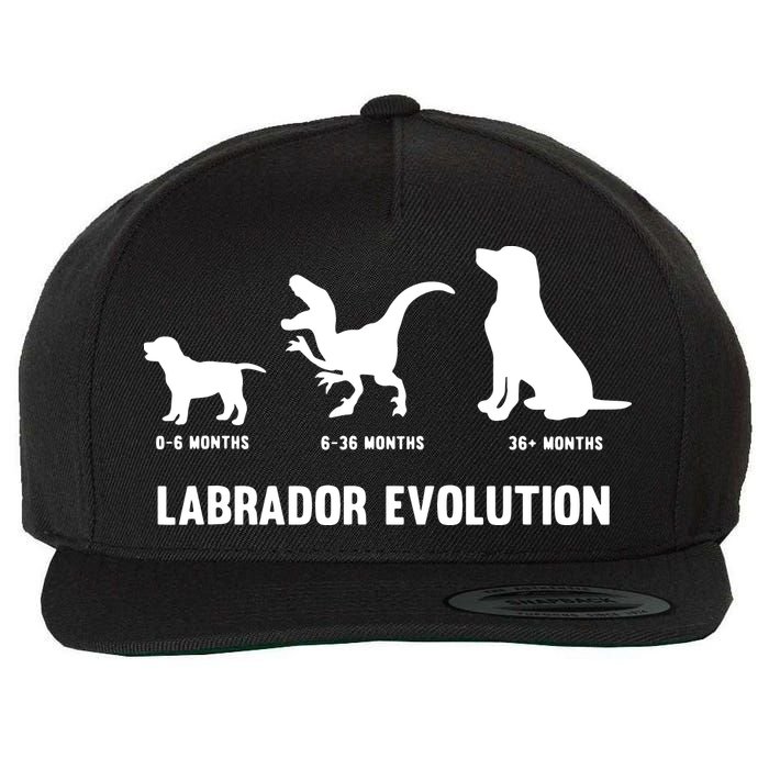 Labrador Retriever Evolution Design For A Labrador Owner Wool Snapback Cap