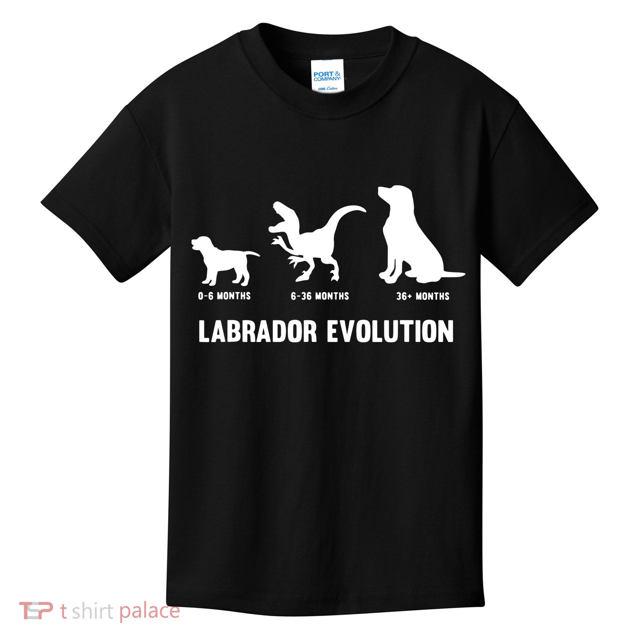 Labrador Retriever Evolution Design For A Labrador Owner Kids T-Shirt