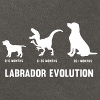 Labrador Retriever Evolution Design For A Labrador Owner Cotton Canvas Backpack