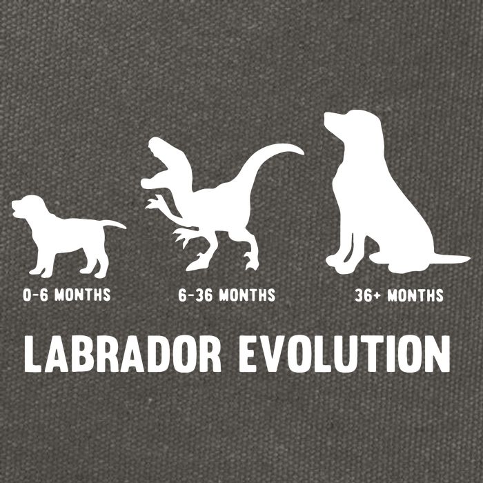 Labrador Retriever Evolution Design For A Labrador Owner Cotton Canvas Backpack