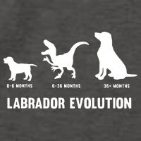 Labrador Retriever Evolution Design For A Labrador Owner Vector Backpack