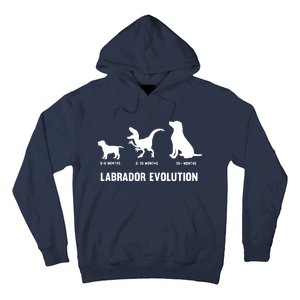 Labrador Retriever Evolution Design For A Labrador Owner Hoodie