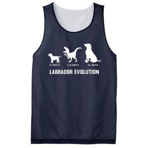 Labrador Retriever Evolution Design For A Labrador Owner Mesh Reversible Basketball Jersey Tank