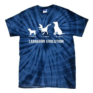 Labrador Retriever Evolution Design For A Labrador Owner Tie-Dye T-Shirt