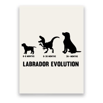 Labrador Retriever Evolution Design For A Labrador Owner Poster