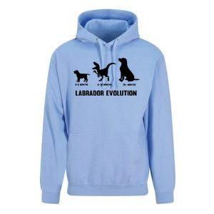 Labrador Retriever Evolution Design For A Labrador Owner Unisex Surf Hoodie