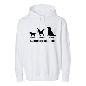 Labrador Retriever Evolution Design For A Labrador Owner Garment-Dyed Fleece Hoodie