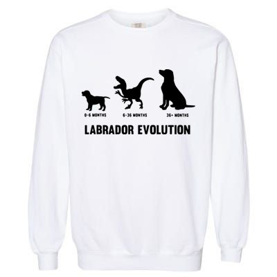 Labrador Retriever Evolution Design For A Labrador Owner Garment-Dyed Sweatshirt