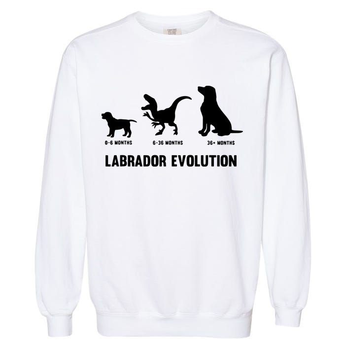 Labrador Retriever Evolution Design For A Labrador Owner Garment-Dyed Sweatshirt