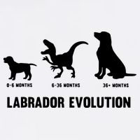 Labrador Retriever Evolution Design For A Labrador Owner Garment-Dyed Sweatshirt
