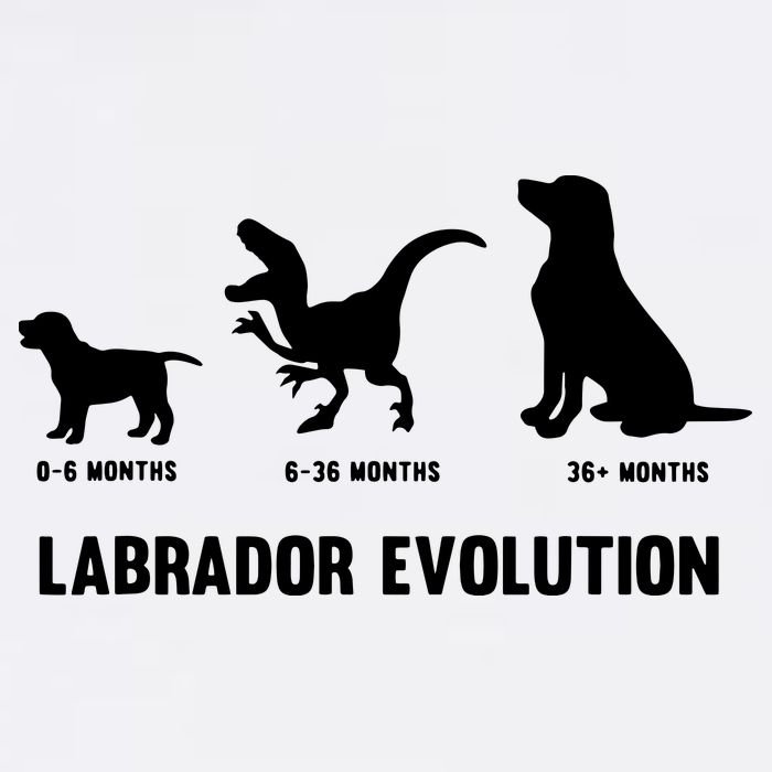 Labrador Retriever Evolution Design For A Labrador Owner Garment-Dyed Sweatshirt