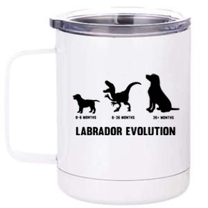 Labrador Retriever Evolution Design For A Labrador Owner 12 oz Stainless Steel Tumbler Cup