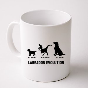 Labrador Retriever Evolution Design For A Labrador Owner Coffee Mug