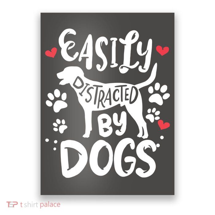 Labrador Retriever Funny Poster
