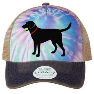 Labrador Retriever Fetch Black Lab Play Ball Legacy Tie Dye Trucker Hat