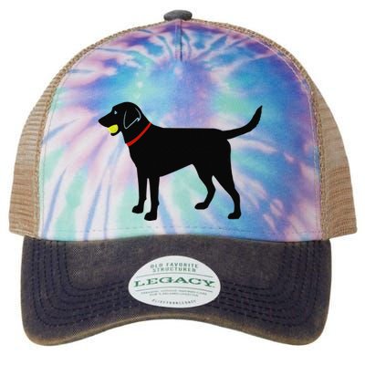 Labrador Retriever Fetch Black Lab Play Ball Legacy Tie Dye Trucker Hat