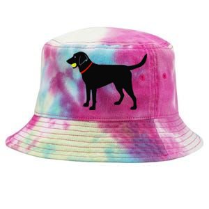 Labrador Retriever Fetch Black Lab Play Ball Tie-Dyed Bucket Hat