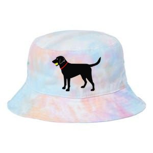 Labrador Retriever Fetch Black Lab Play Ball Tie Dye Newport Bucket Hat