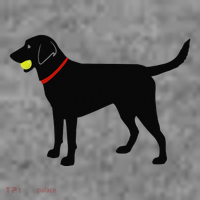 Labrador Retriever Fetch Black Lab Play Ball Tall Sweatshirt