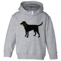 Labrador Retriever Fetch Black Lab Play Ball Toddler Hoodie
