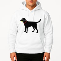 Labrador Retriever Fetch Black Lab Play Ball Hoodie