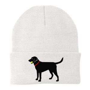 Labrador Retriever Fetch Black Lab Play Ball Knit Cap Winter Beanie