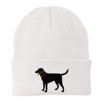 Labrador Retriever Fetch Black Lab Play Ball Beanie