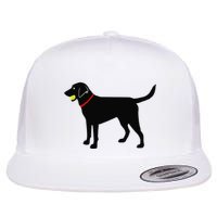 Labrador Retriever Fetch Black Lab Play Ball Flatbill Hat