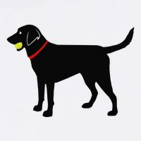 Labrador Retriever Fetch Black Lab Play Ball Toddler T-Shirt