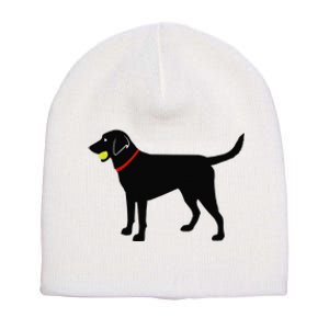 Labrador Retriever Fetch Black Lab Play Ball Short Acrylic Beanie